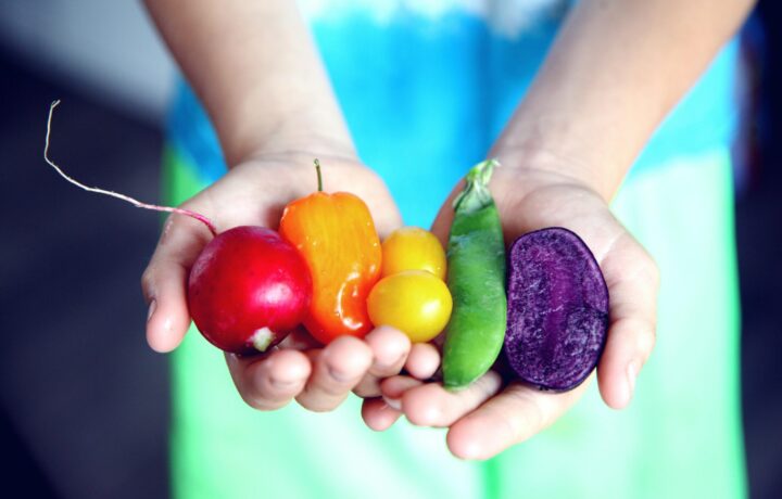 Ernährung für Wohlbefinden: Gesunde Gewohnheiten für ein besseres Leben