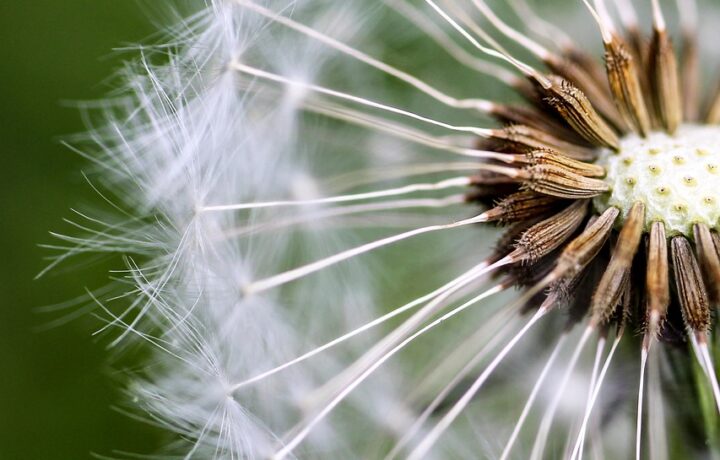 Leben im Einklang mit der Natur: Ein persönlicher Erfahrungsbericht