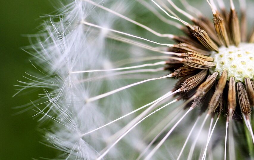 Leben im Einklang mit der Natur: Ein persönlicher Erfahrungsbericht