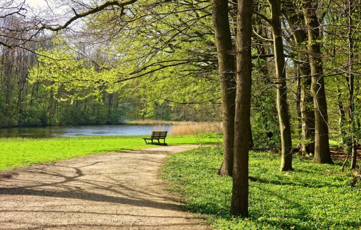 Die Rückkehr zur Natur: Warum Outdoor-Aktivitäten wieder im Trend liegen