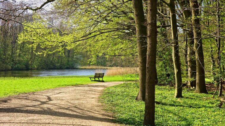 Die Rückkehr zur Natur: Warum Outdoor-Aktivitäten wieder im Trend liegen