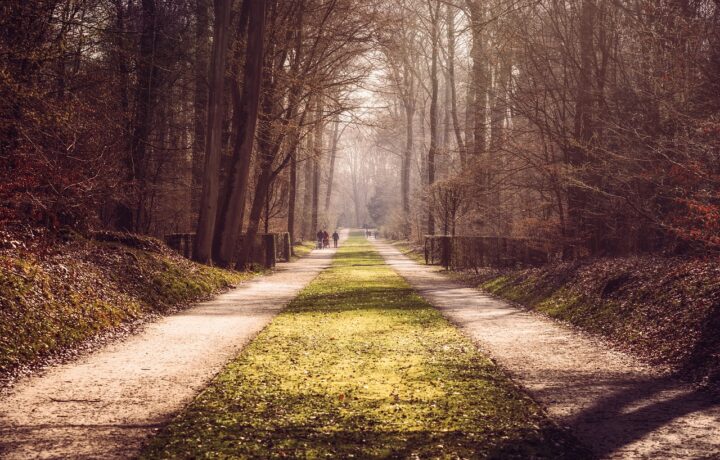 Naturverbundenheit und Freiheit: Die heilende Kraft der Natur erleben