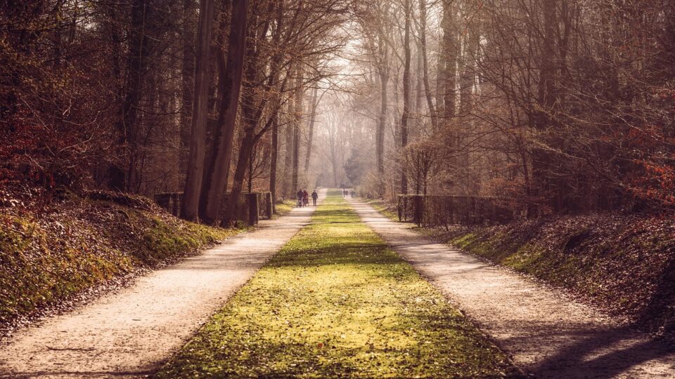 Naturverbundenheit und Freiheit: Die heilende Kraft der Natur erleben